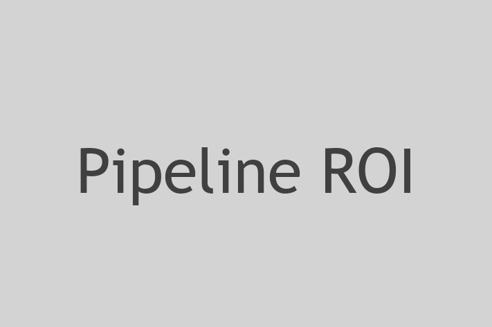 Software Services Company Pipeline ROI