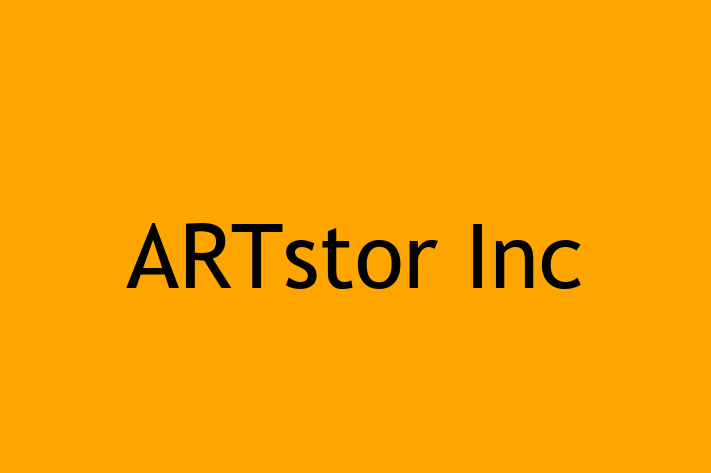 Digital Solutions Provider ARTstor Inc