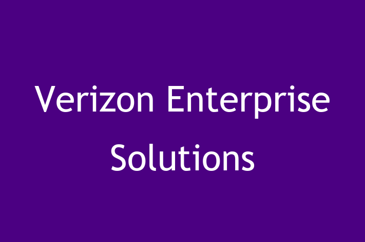 Software Engineering Company Verizon Enterprise Solutions