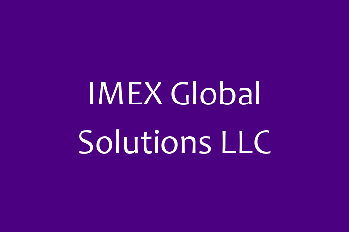 Software Development Company IMEX Global Solutions LLC