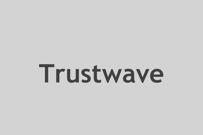 Digital Solutions Provider Trustwave