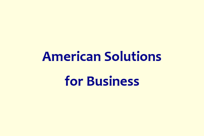 Software Consultancy American Solutions for Business