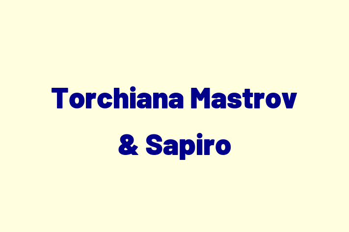 Software Consultancy Torchiana Mastrov Sapiro