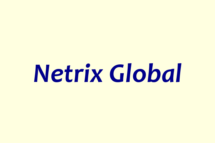 Labor Relations Netrix Global