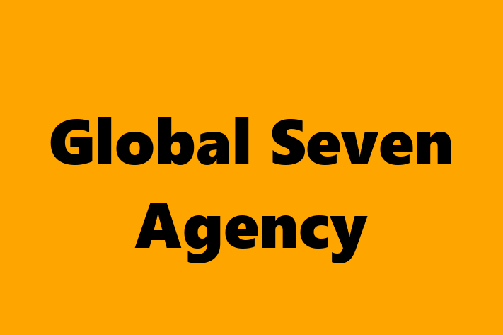 Software Solutions Provider Global Seven Agency