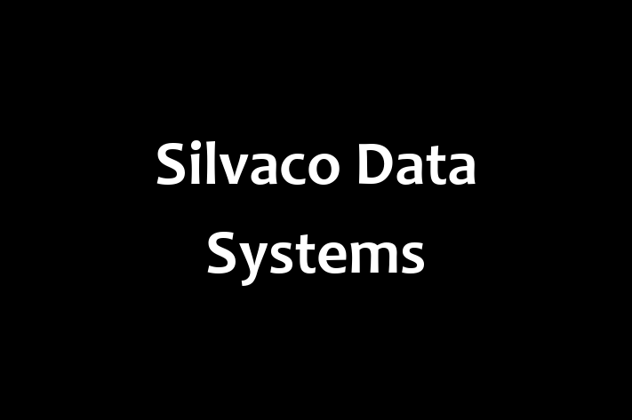 Tech Solutions Company Silvaco Data Systems