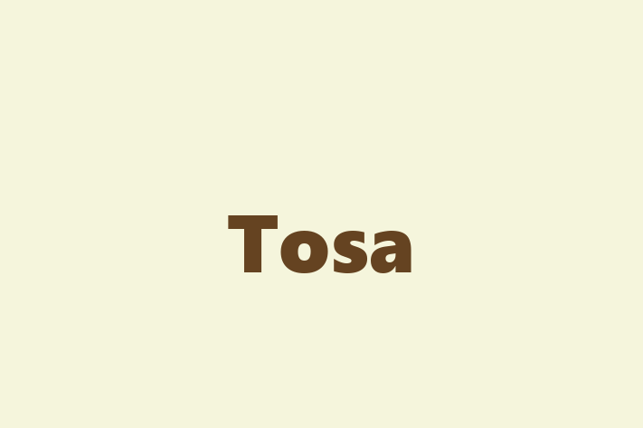 Adopt a Tosa Dog in Huntsville