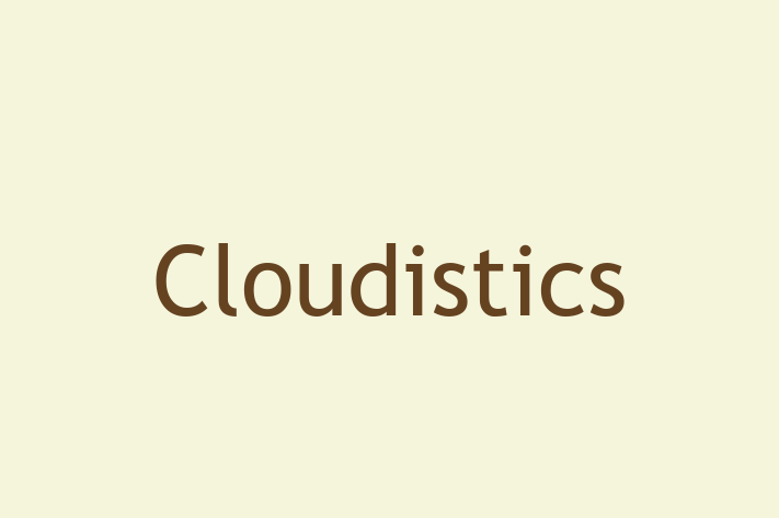 Software Engineering Company Cloudistics