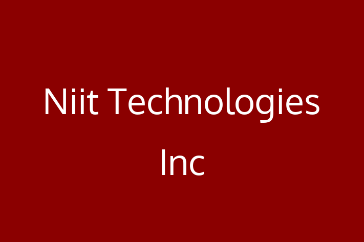 Software Solutions Provider Niit Technologies Inc