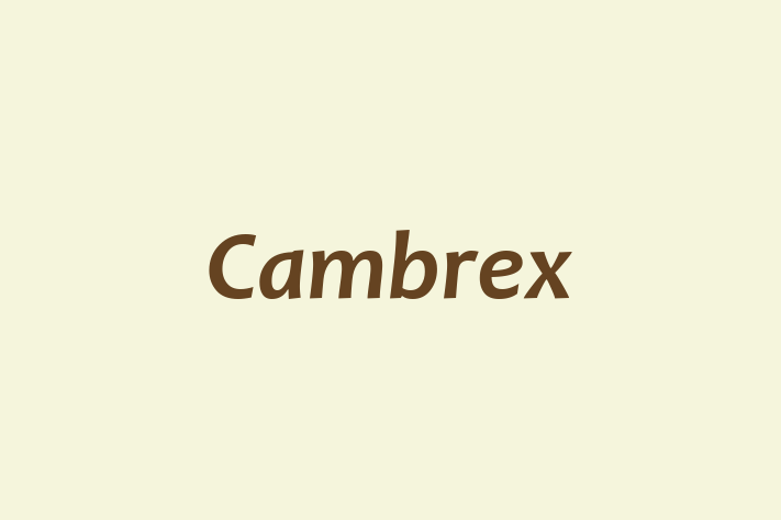 Talent Management Cambrex