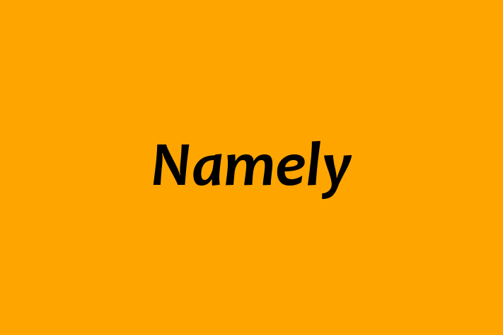 Software Solutions Provider Namely