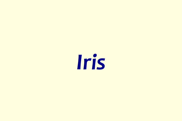 Human Resource Management Iris