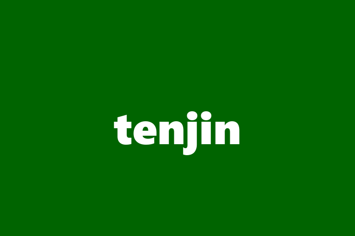 Software Consultancy tenjin