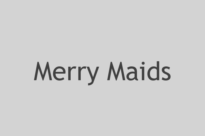 Home Cleaning Merry Maids