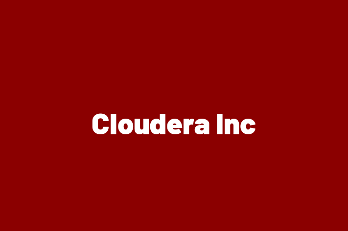 Digital Solutions Provider Cloudera Inc