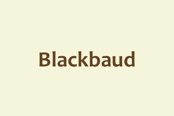 Software Development Company Blackbaud