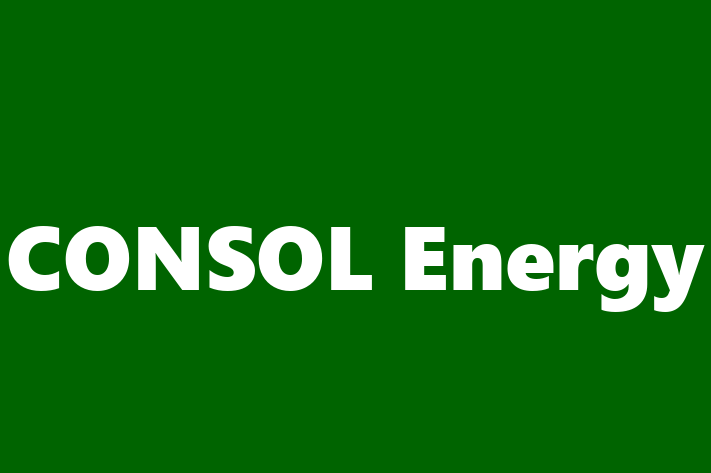 Workforce Management CONSOL Energy