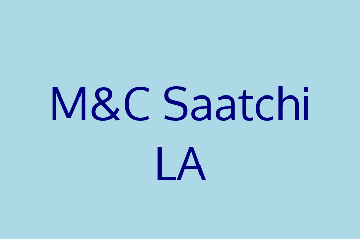 Software Engineering Company MC Saatchi LA