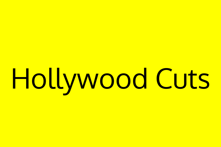 Hollywood Cuts