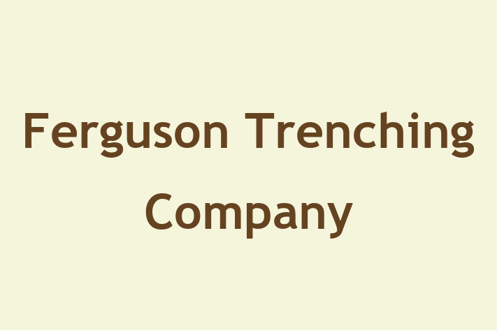 Staff Management Ferguson Trenching Company