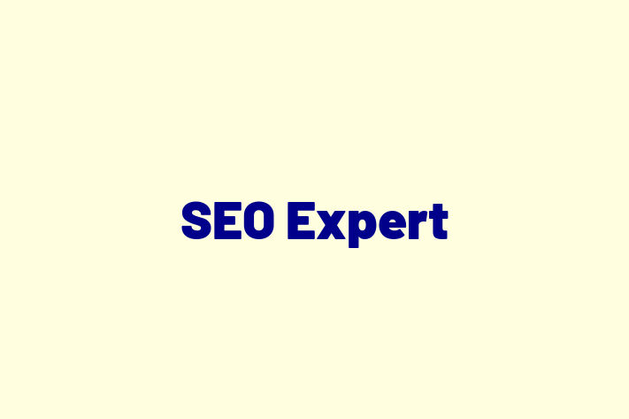 Software Firm SEO Expert