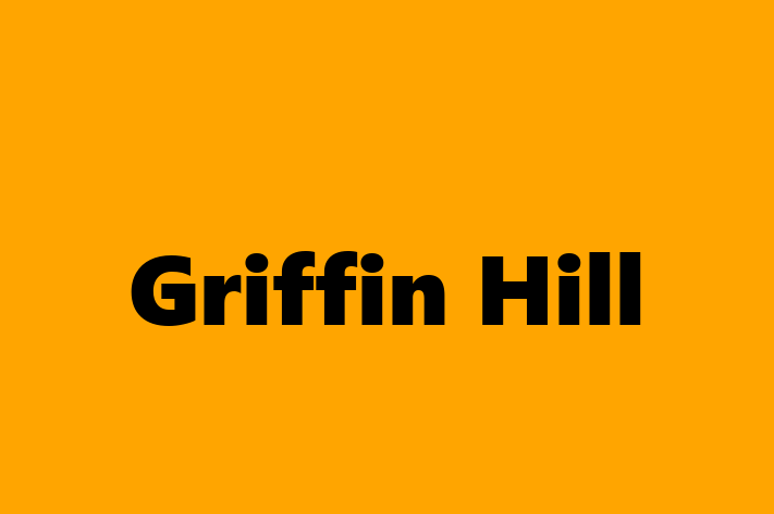 Tech Solutions Company Griffin Hill