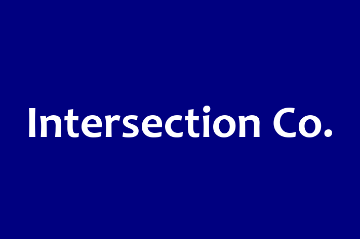 Technology Solutions Firm Intersection Co.