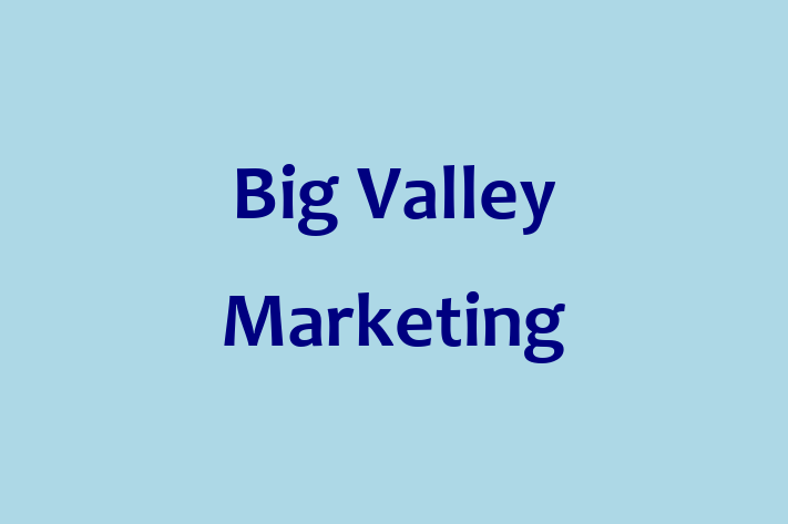 Workforce Management Big Valley Marketing