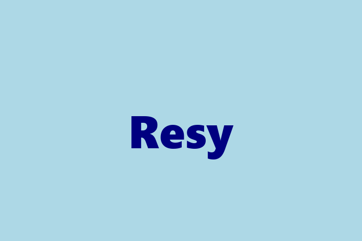 Software Consultancy Resy