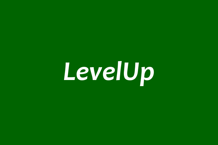 Software Solutions Provider LevelUp