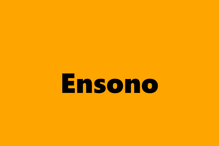 Technology Company Ensono