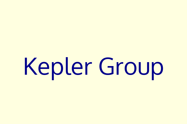 Software Consultancy Kepler Group