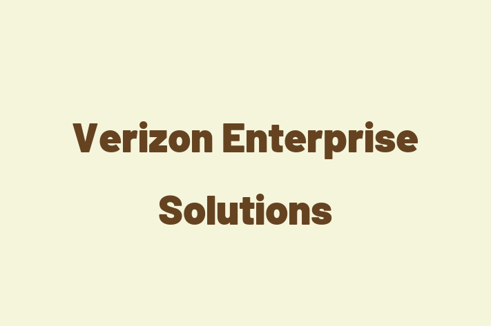 Digital Solutions Provider Verizon Enterprise Solutions