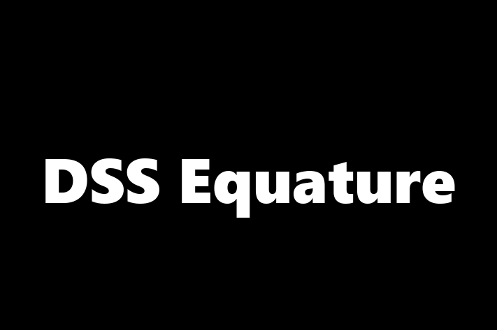 IT Company DSS Equature