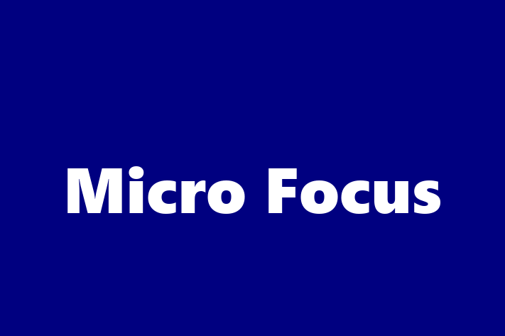 Software Development Company Micro Focus