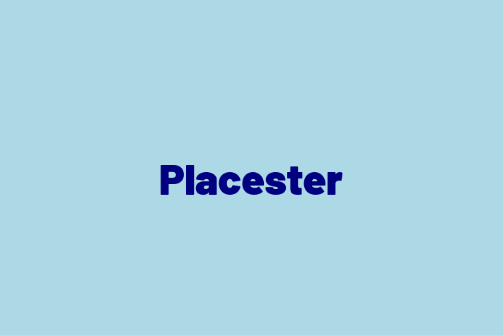 Digital Solutions Provider Placester