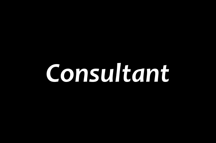 Employee Resource Management Consultant