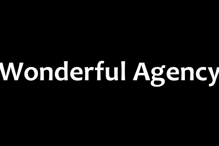 Tech Firm Wonderful Agency