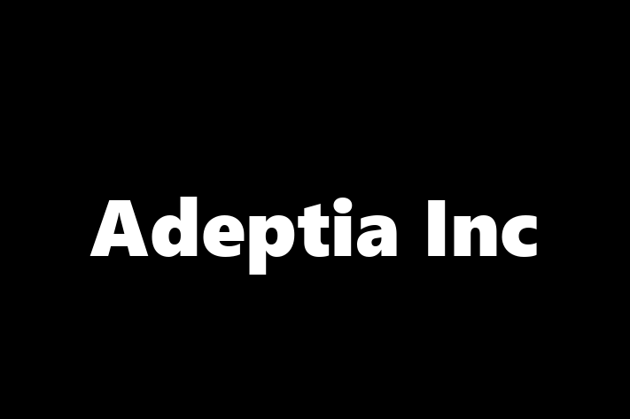 IT Company Adeptia Inc