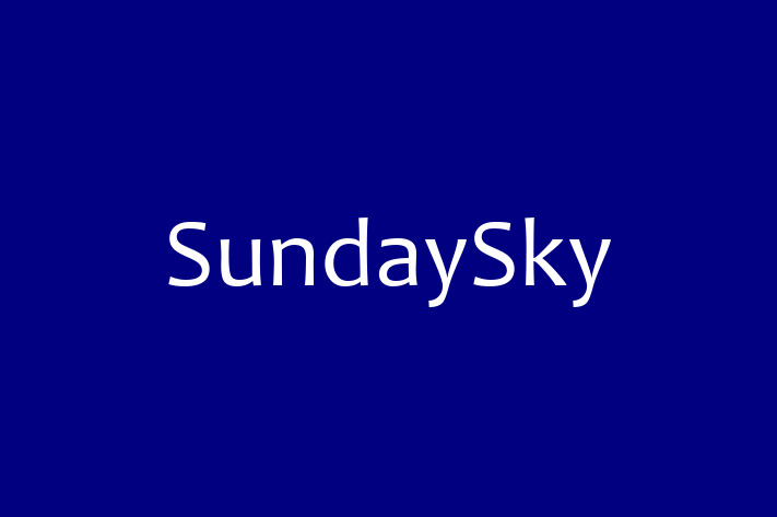 Software Services Company SundaySky