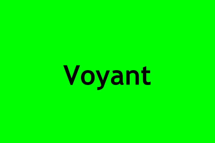 Talent Management Voyant