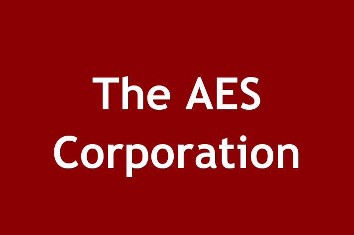 Personnel Management The AES Corporation