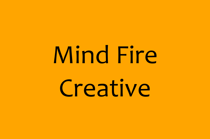 Software Engineering Company Mind Fire Creative