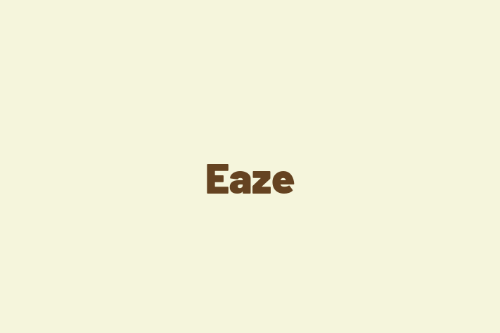 Technology Company Eaze