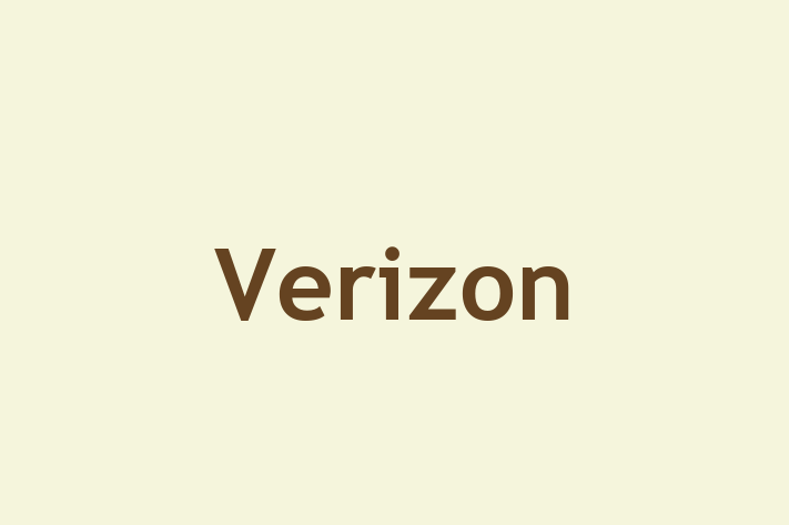 Human Resource Management Verizon