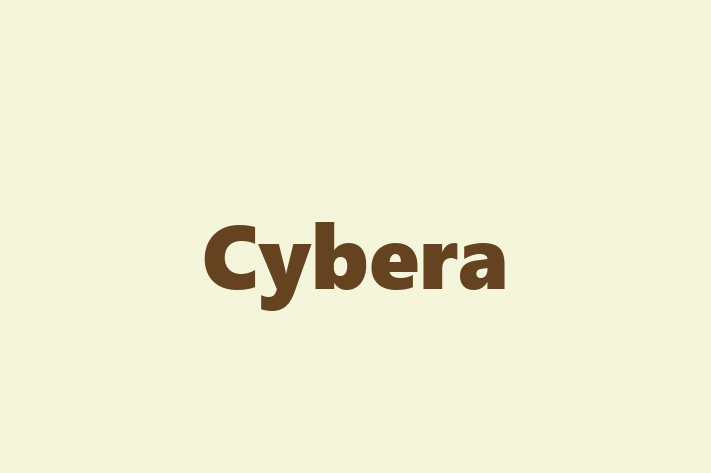 Software Development Firm Cybera