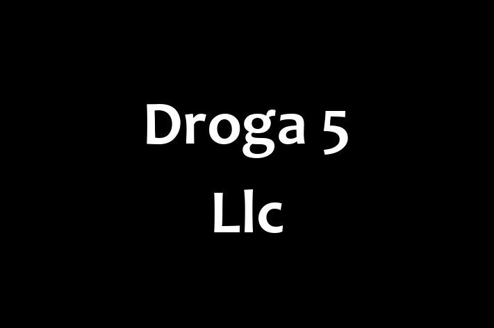 Tech Firm Droga 5 Llc