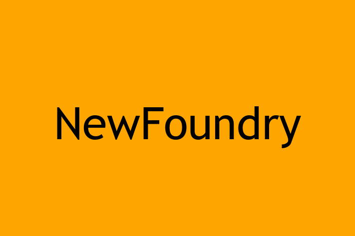 Software Development Firm NewFoundry