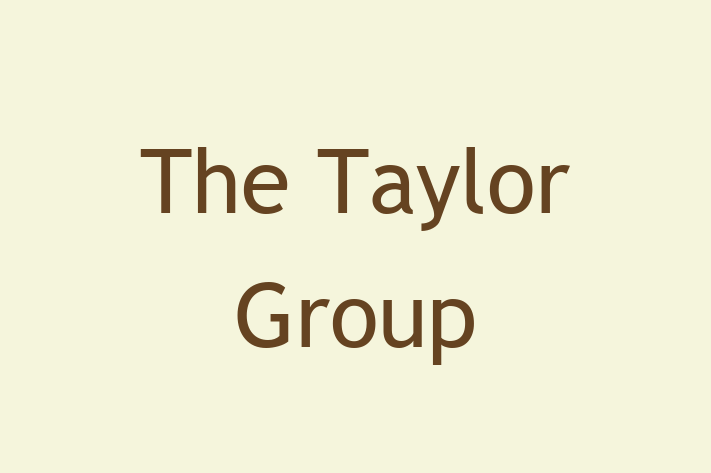 Software Development Company The Taylor Group