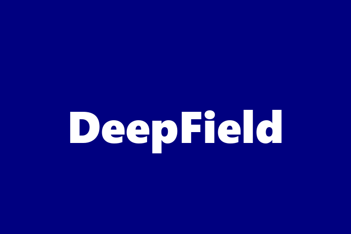 Tech Solutions Company DeepField